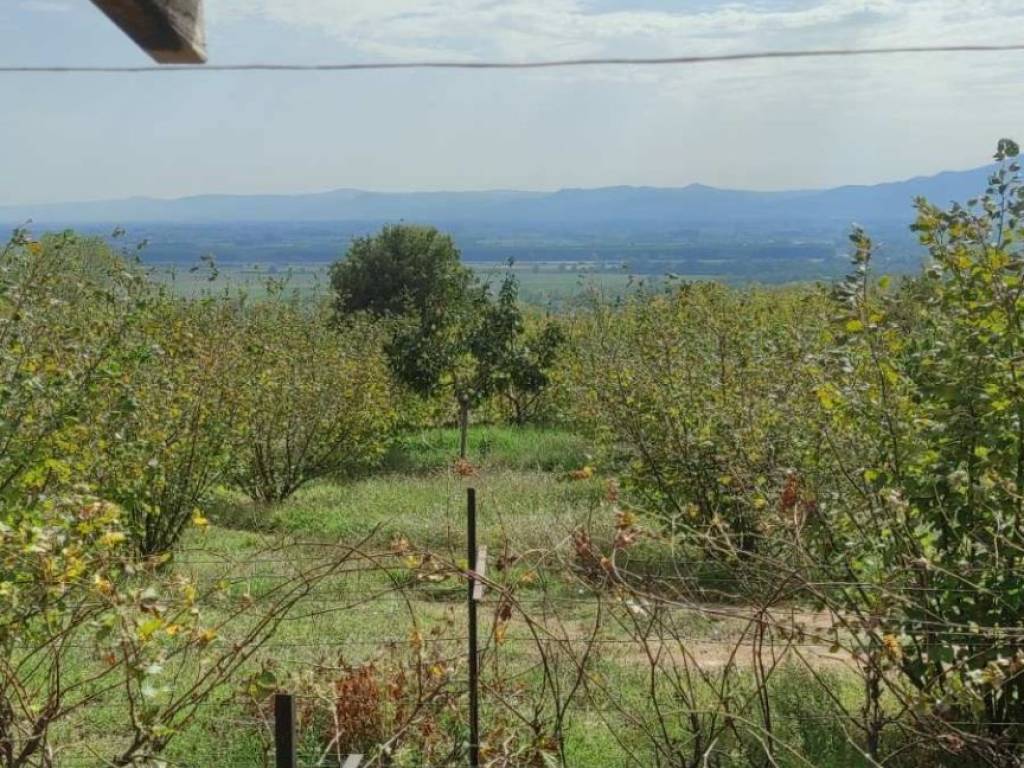 κτήμα 4000 τετραγωνικών μέτρων περιφραγμένο  με οικία κοντά