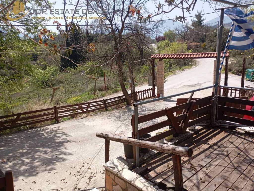 eisodos sto aithrio mpalkoni