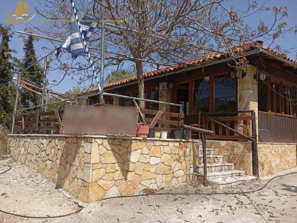 Paradosiake taberna -aithrio