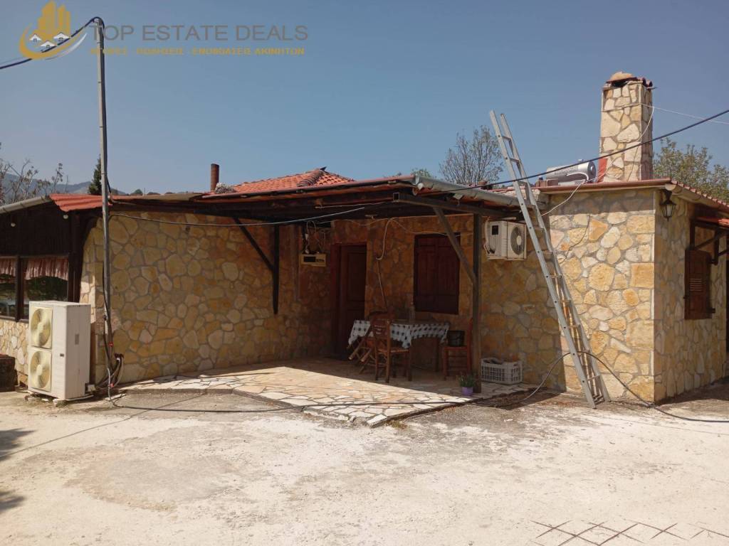 exoterikoi choroi stoyntios