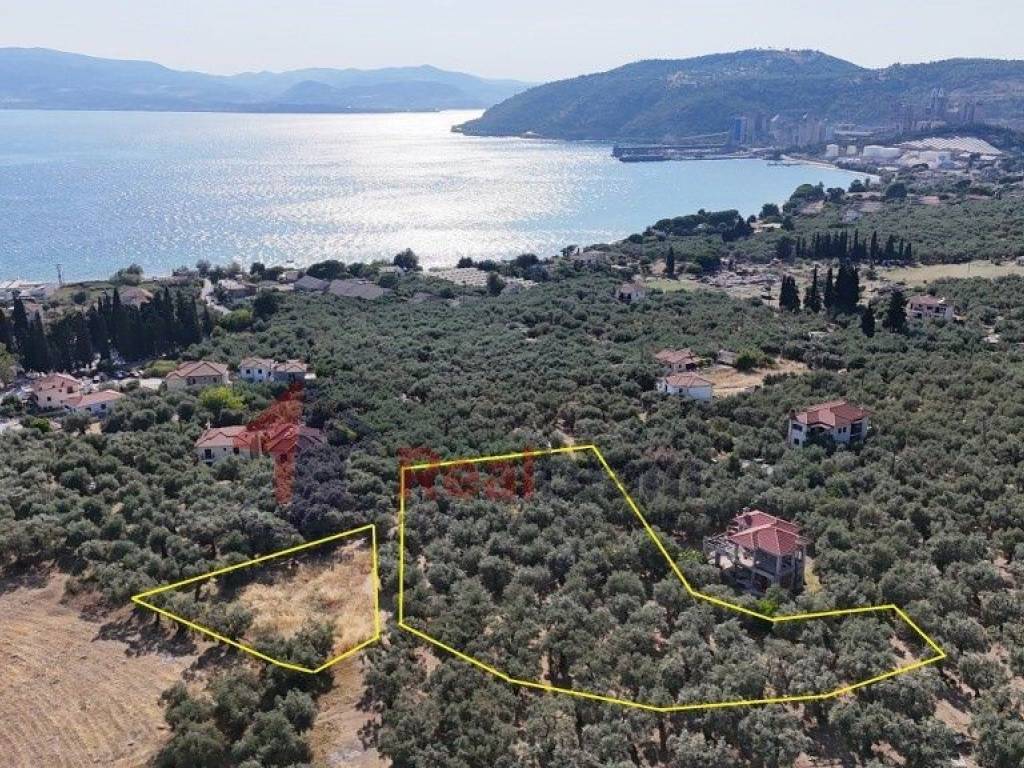 Εξωτερικοι χώροι