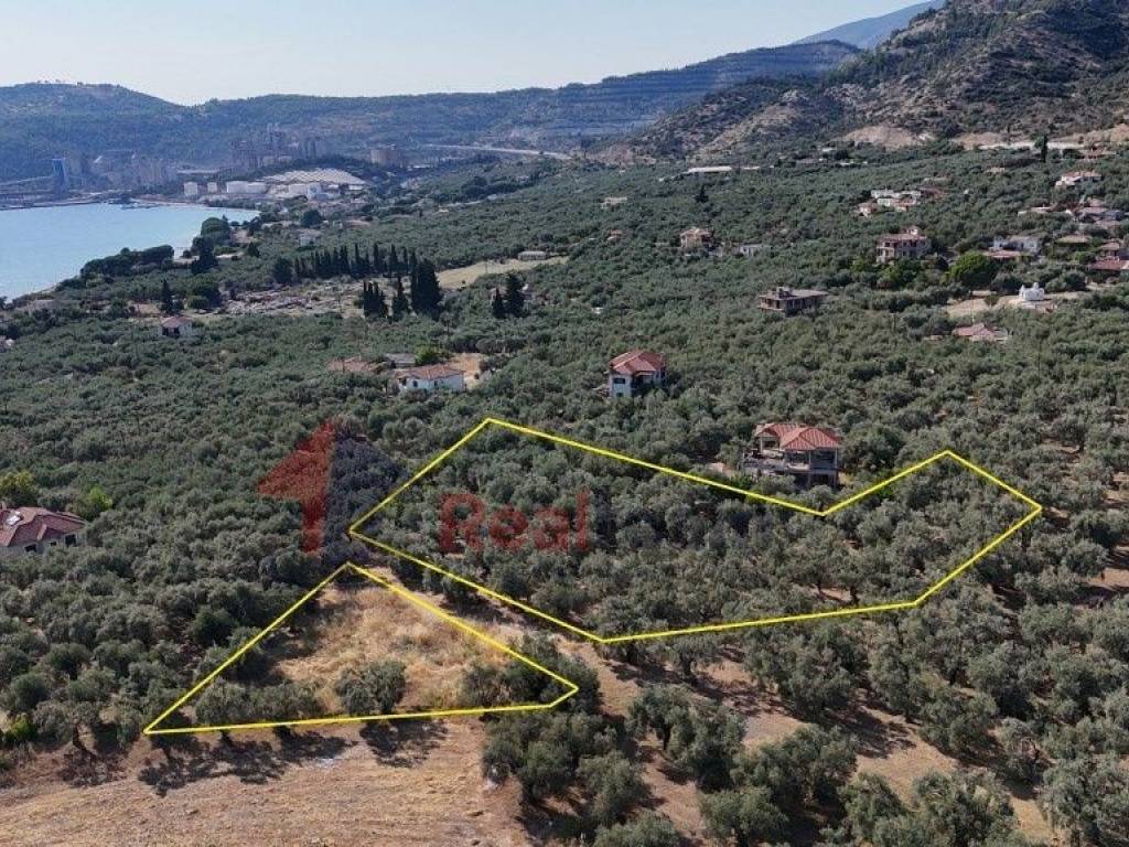 Εξωτερικοι χώροι