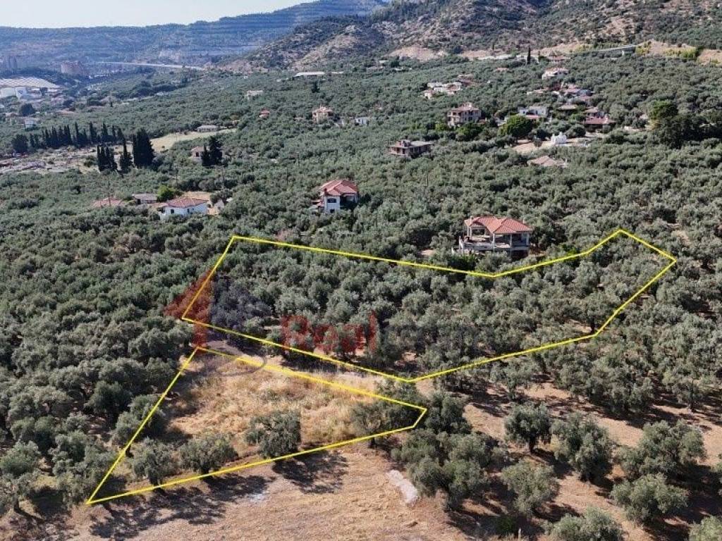 Εξωτερικοι χώροι