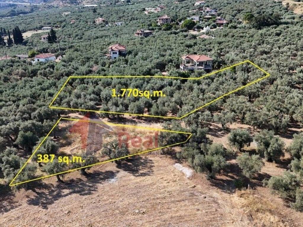 Εξωτερικοι χώροι