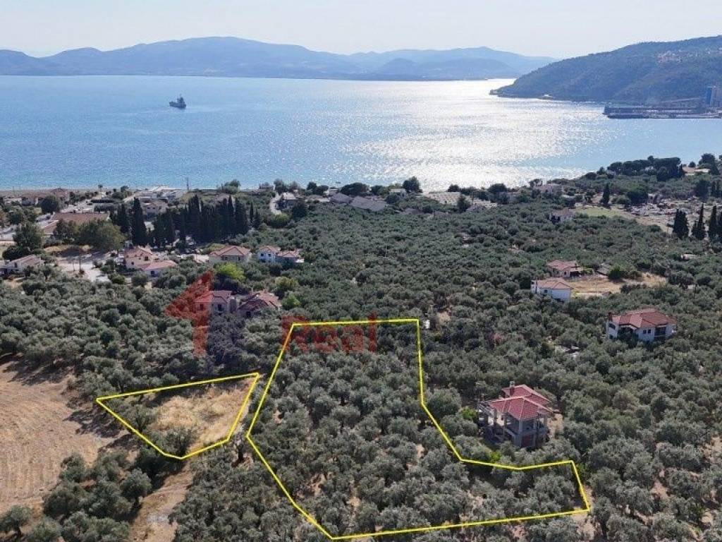 Εξωτερικοι χώροι