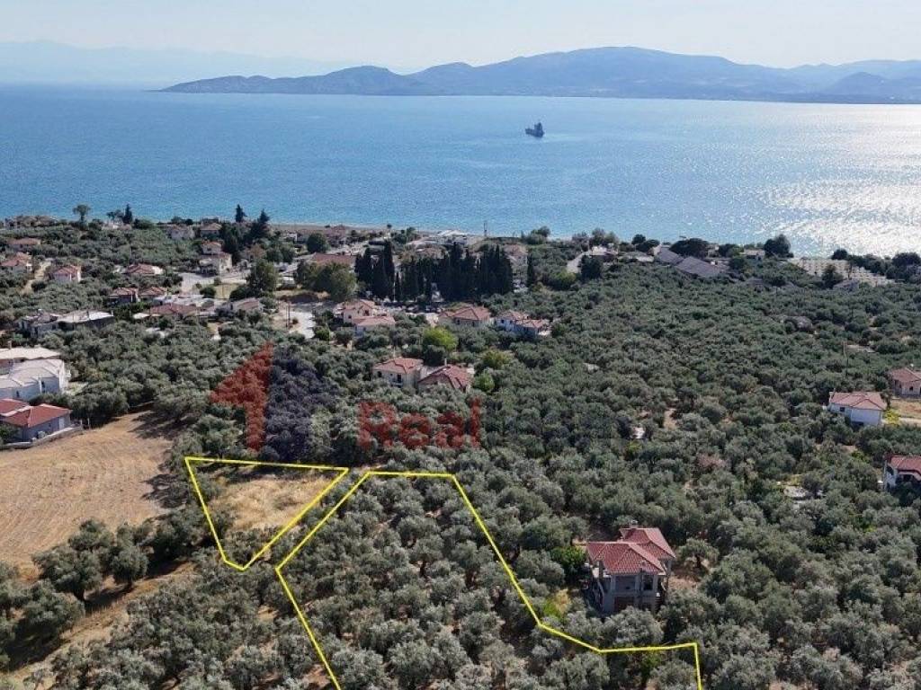 Εξωτερικοι χώροι