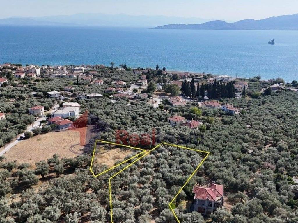 Εξωτερικοι χώροι