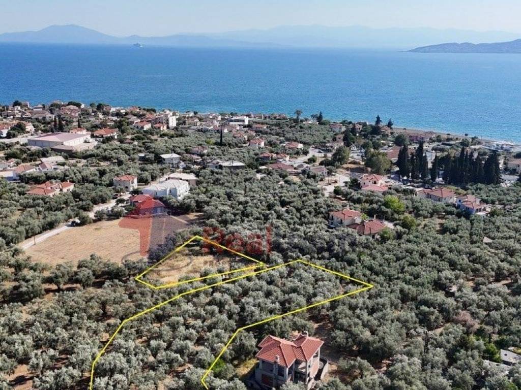 Εξωτερικοι χώροι