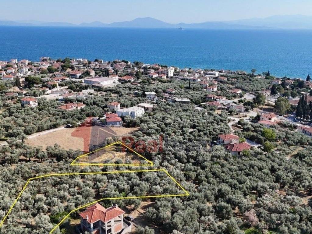 Εξωτερικοι χώροι