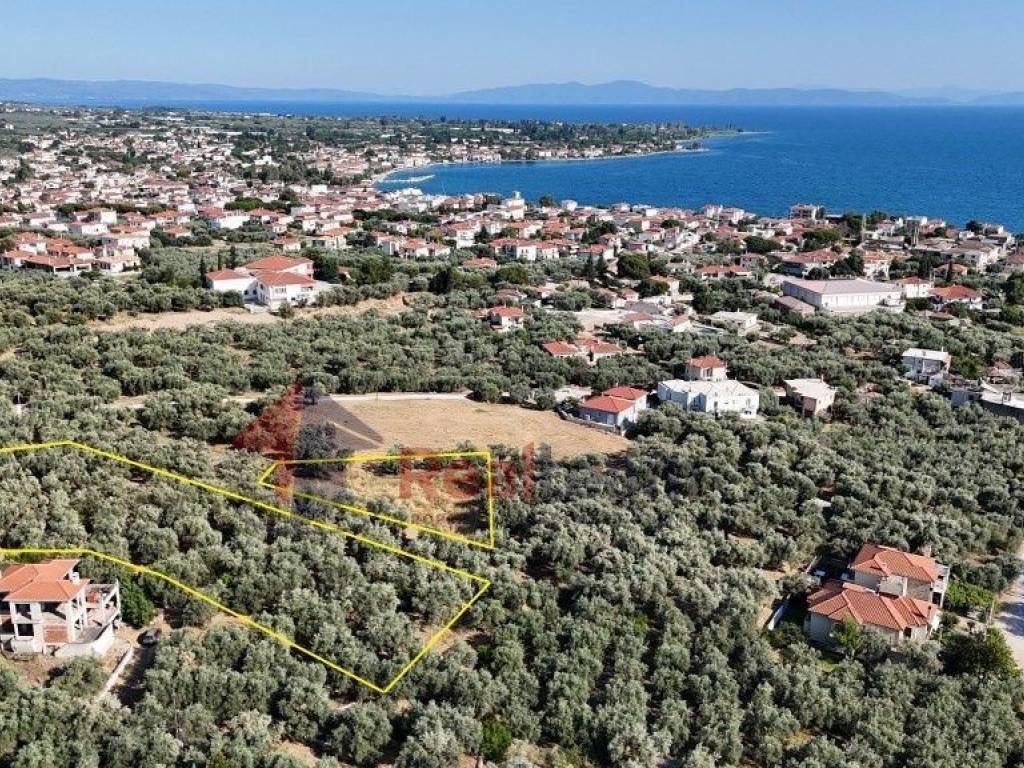 Εξωτερικοι χώροι