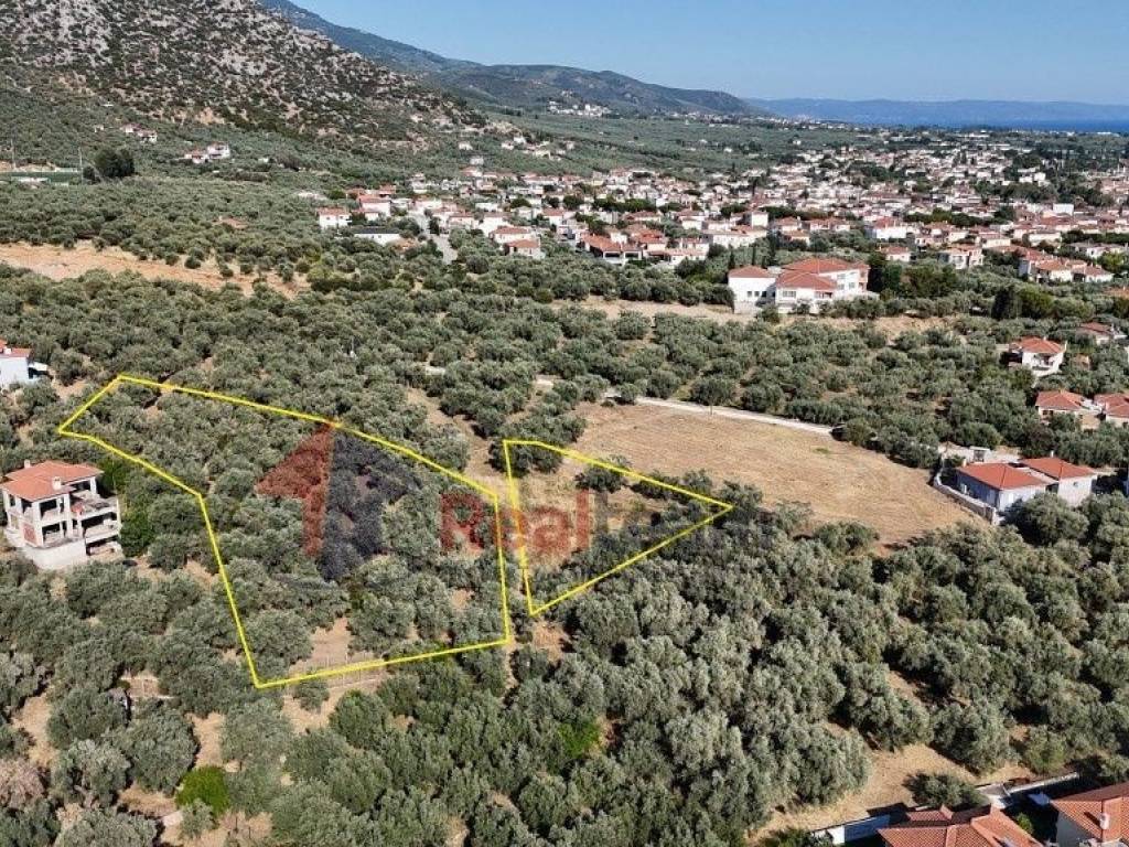 Εξωτερικοι χώροι