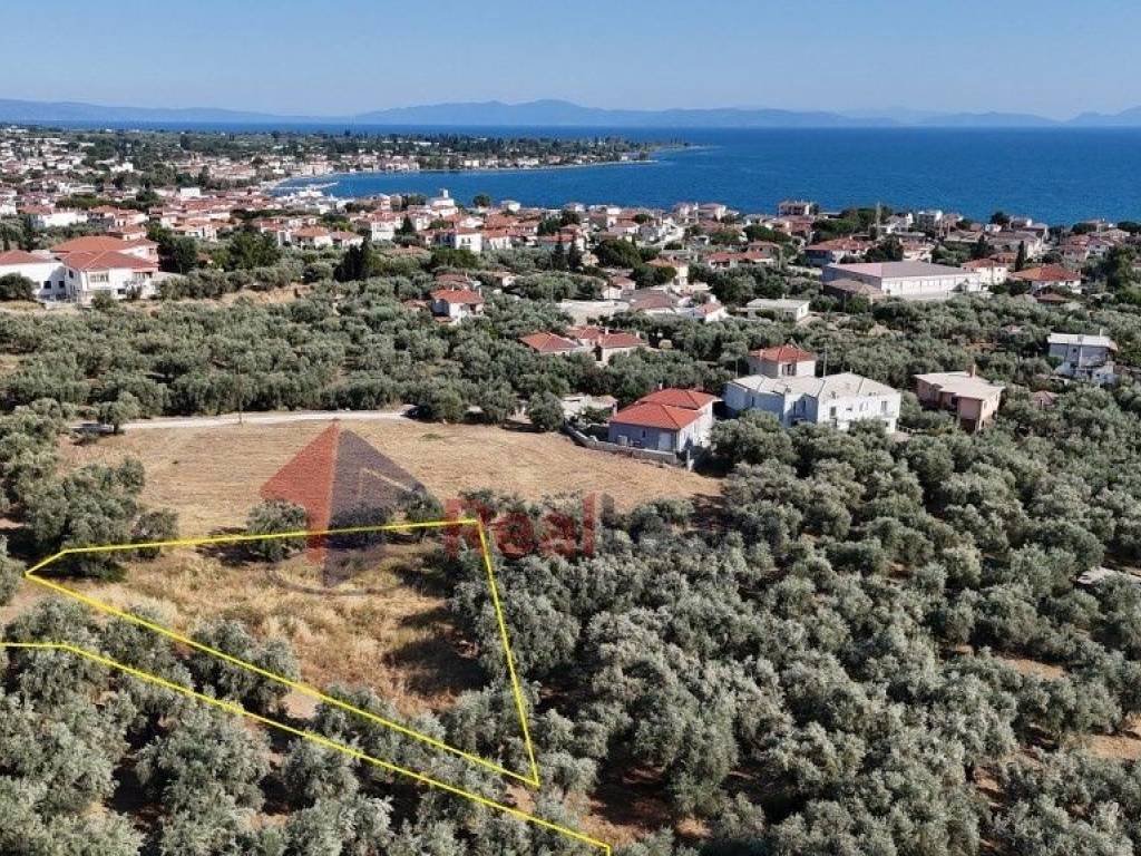 Εξωτερικοι χώροι