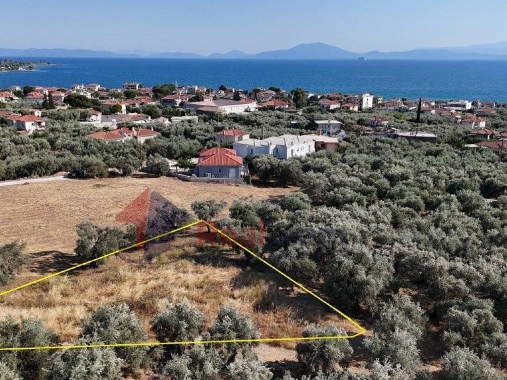 Εξωτερικοι χώροι