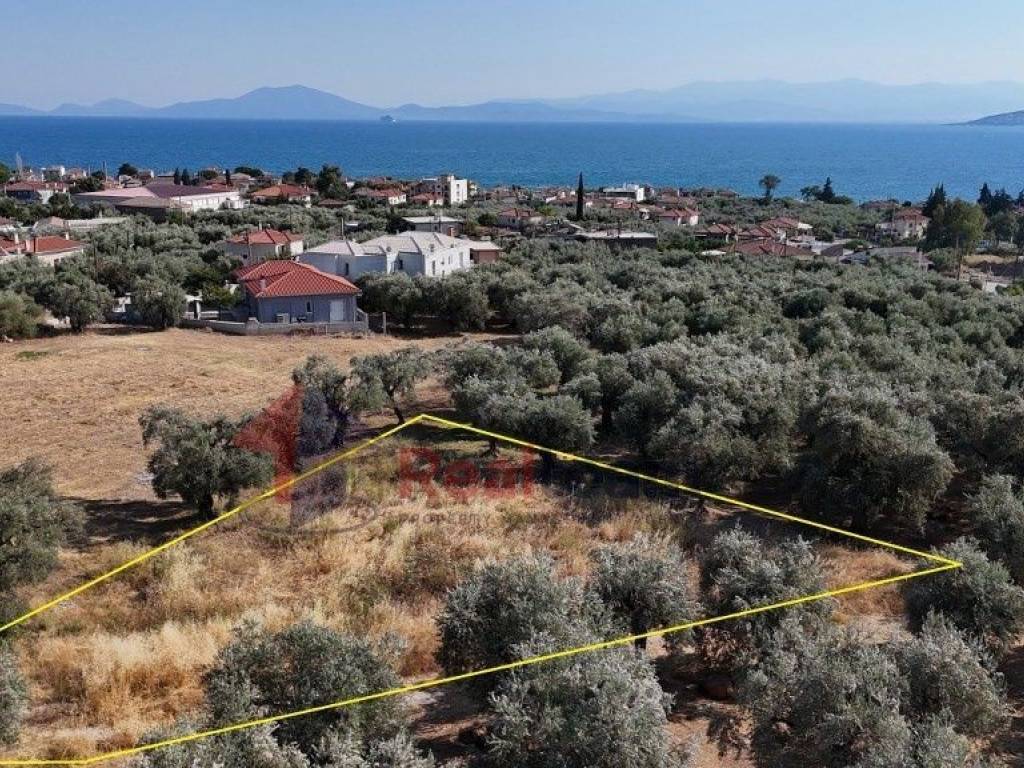 Εξωτερικοι χώροι