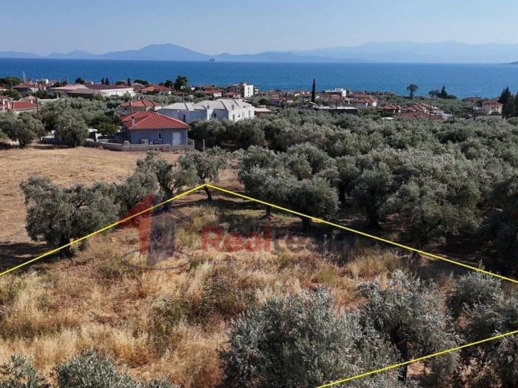 Εξωτερικοι χώροι