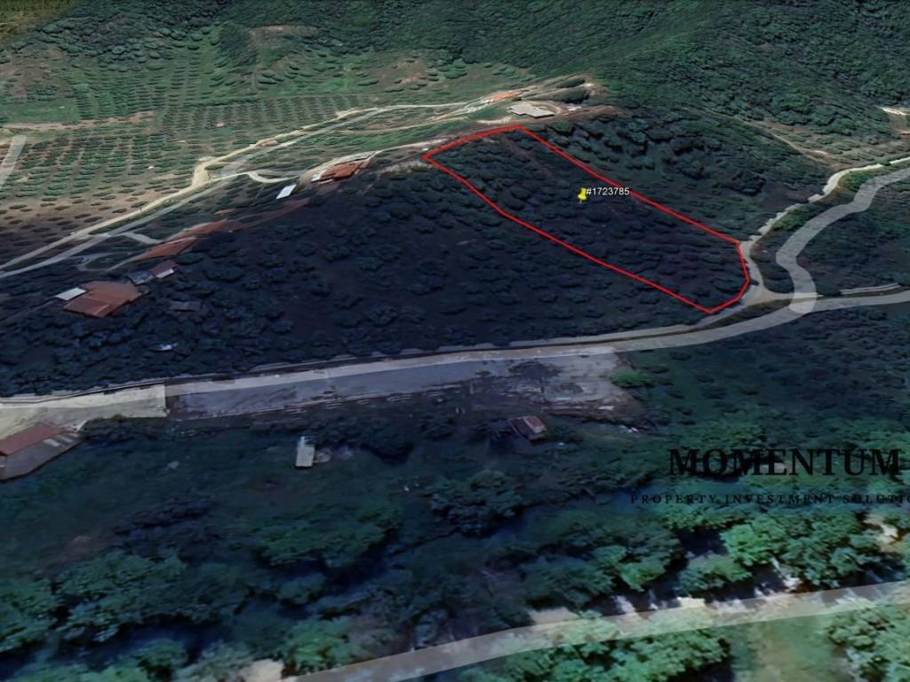 Εξωτερικοι χώροι