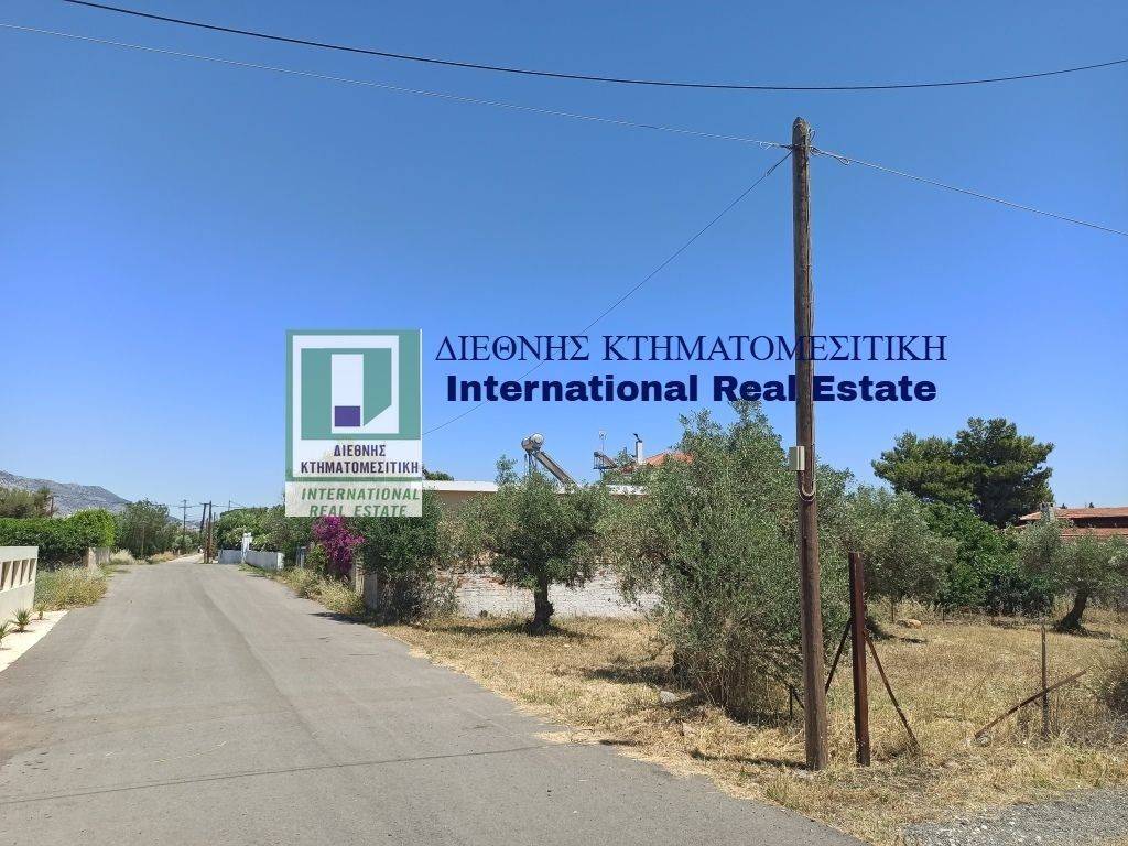 ΓΩΝΙΑΚΟ ΟΙΚΟΠΕΔΟ ΜΕ ΠΡΟΣΟΨΕΙΣ 34 μ. ΚΑΙ 19 μ.