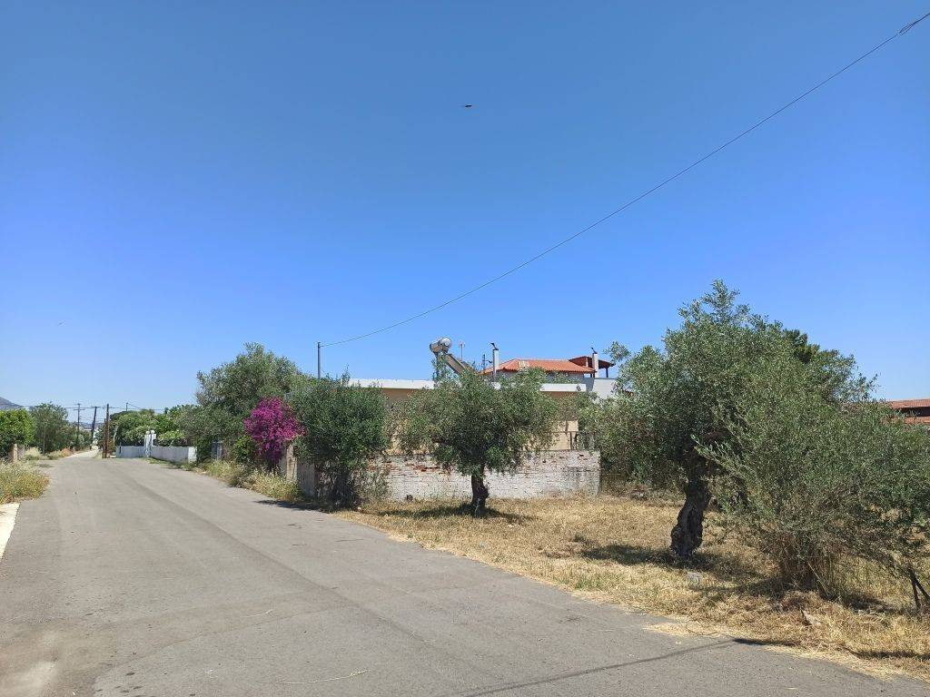 GONIAKO OIKOPEDO ME PROSOPSEIS 34 m. KAI 19 m.