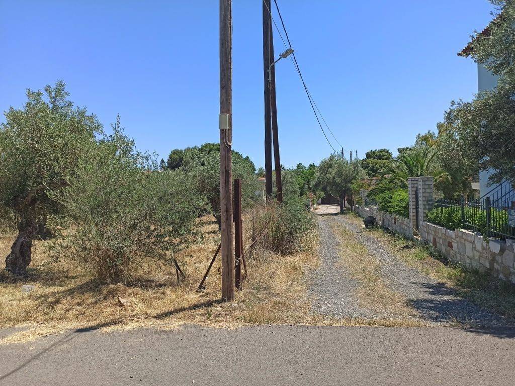 GONIAKO OIKOPEDO ME PROSOPSEIS 34 m. KAI 19 m.