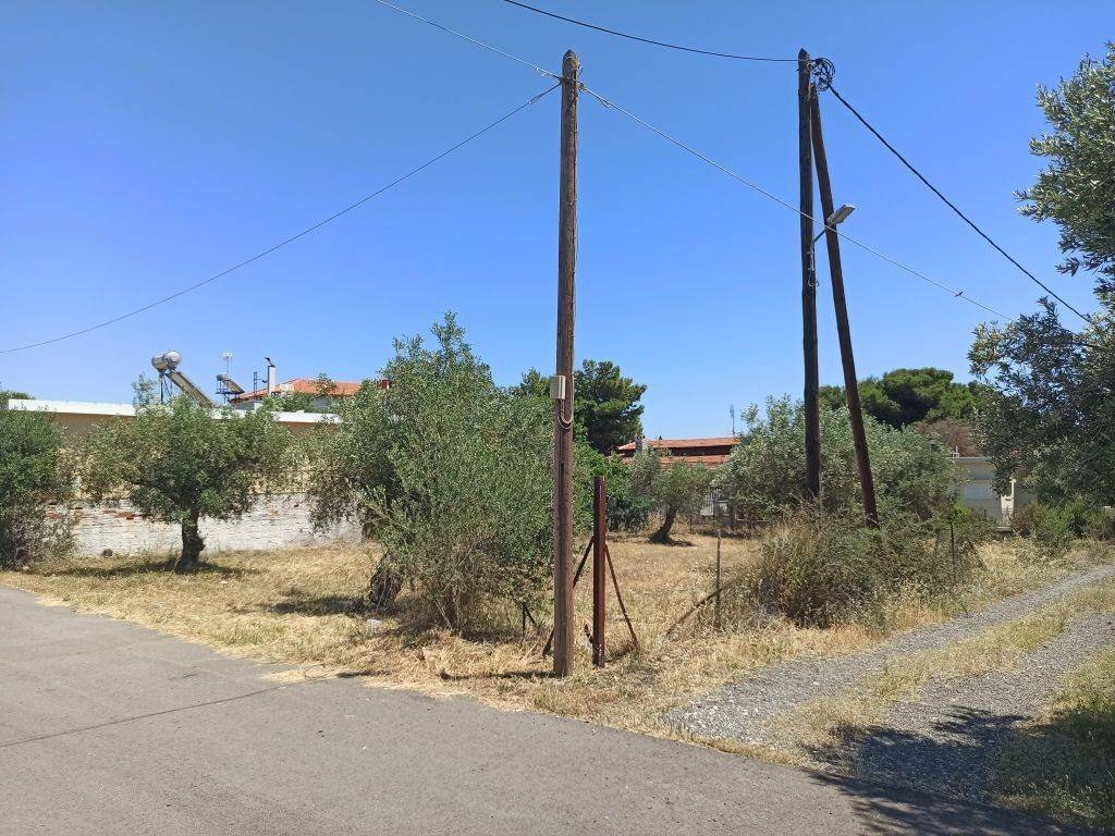 GONIAKO OIKOPEDO ME PROSOPSEIS 34 m. KAI 19 m.