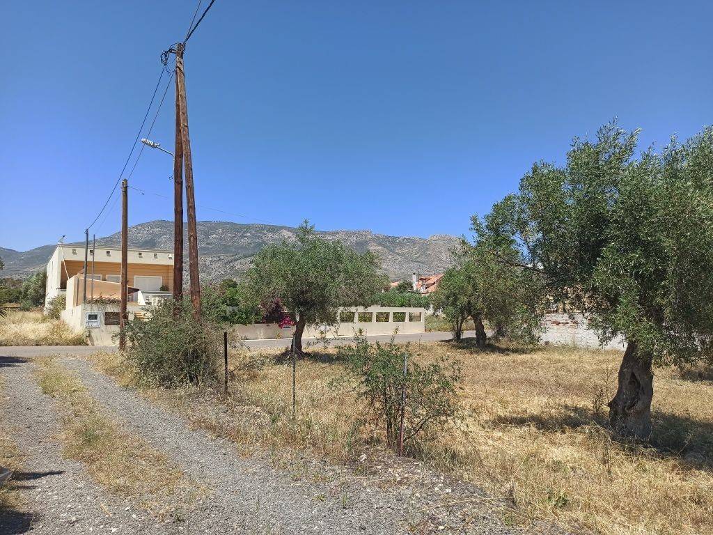 GONIAKO OIKOPEDO ME PROSOPSEIS 34 m. KAI 19 m.