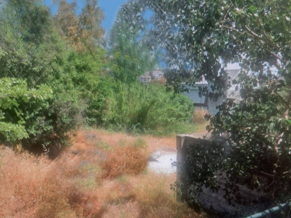 Εξωτερικοι χώροι