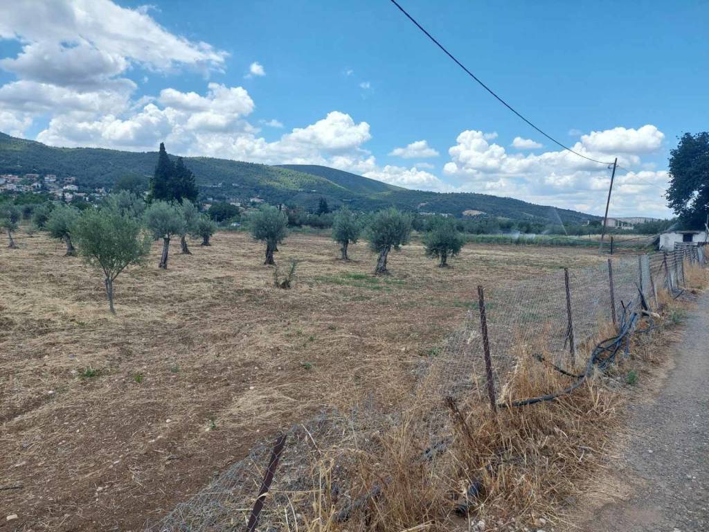 Εξωτερικοι χώροι