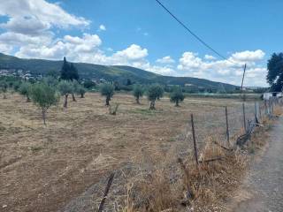 Εξωτερικοι χώροι