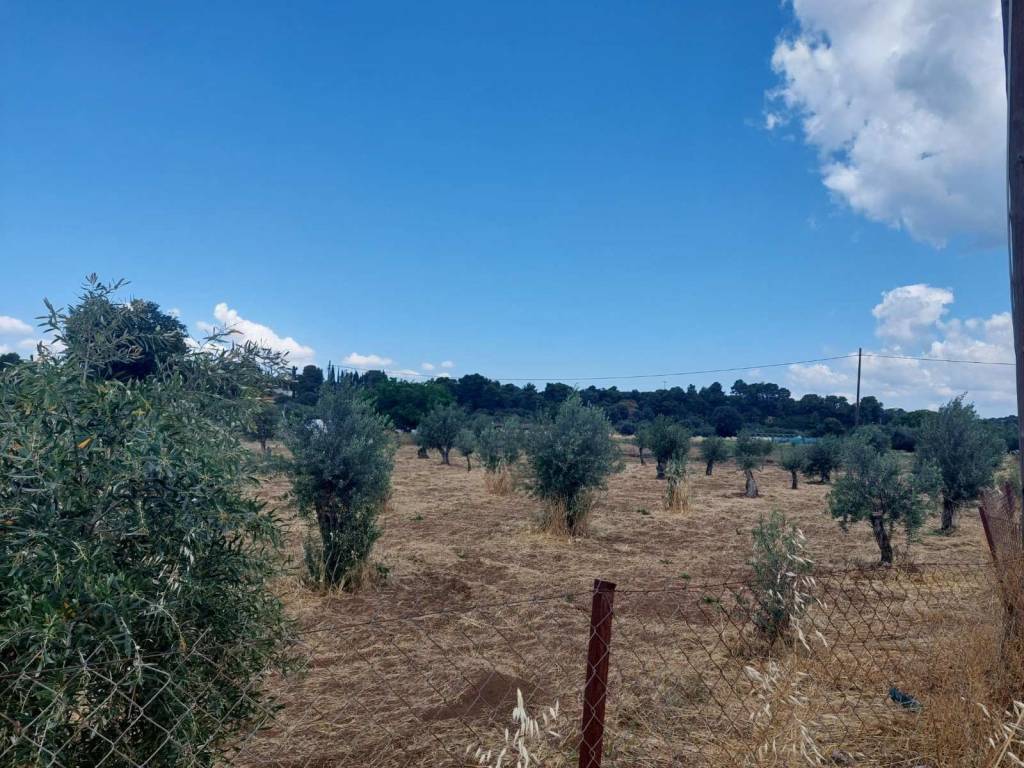 Εξωτερικοι χώροι