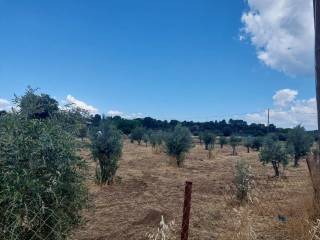 Εξωτερικοι χώροι