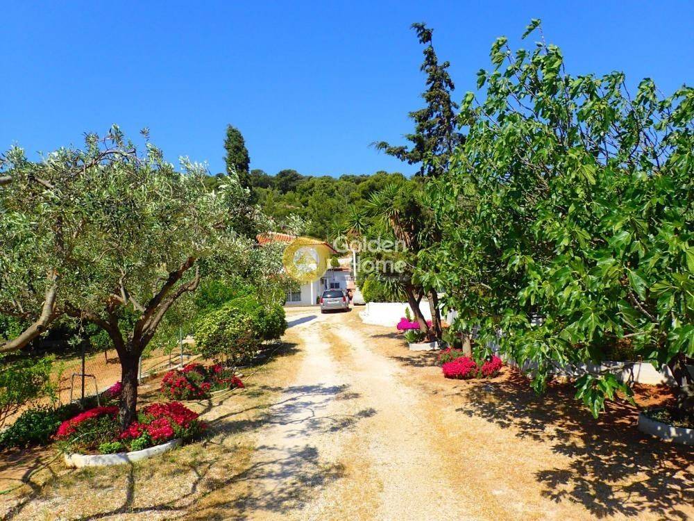 Ανελκυστήρας