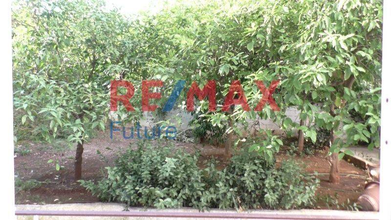 Ύπαρξη ανθρώπου