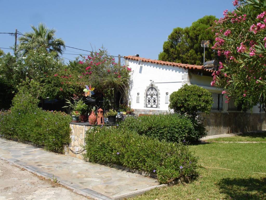 ΕΞΩΤΕΡΙΚΗ ΟΨΗ