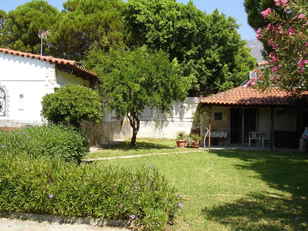 ΕΞΩΤΕΡΙΚΗ ΟΨΗ