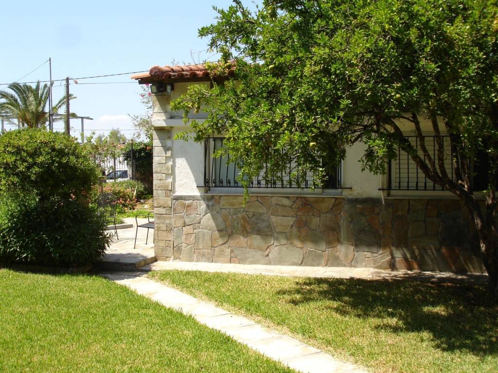 ΕΞΩΤΕΡΙΚΗ ΟΨΗ