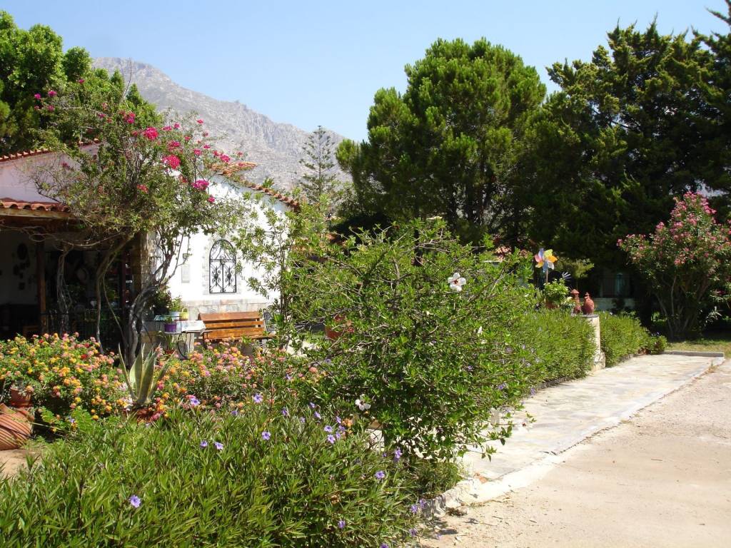 ΕΞΩΤΕΡΙΚΗ ΟΨΗ