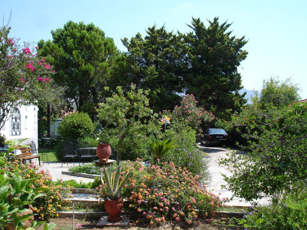 ΕΞΩΤΕΡΙΚΗ ΟΨΗ