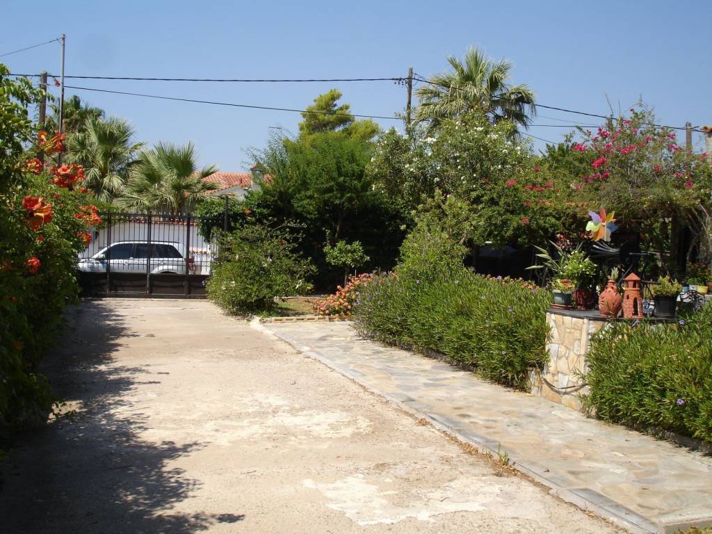 ΕΞΩΤΕΡΙΚΗ ΟΨΗ