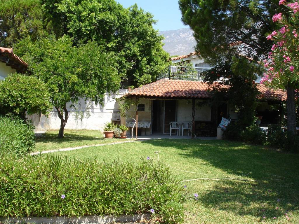 ΕΞΩΤΕΡΙΚΗ ΟΨΗ