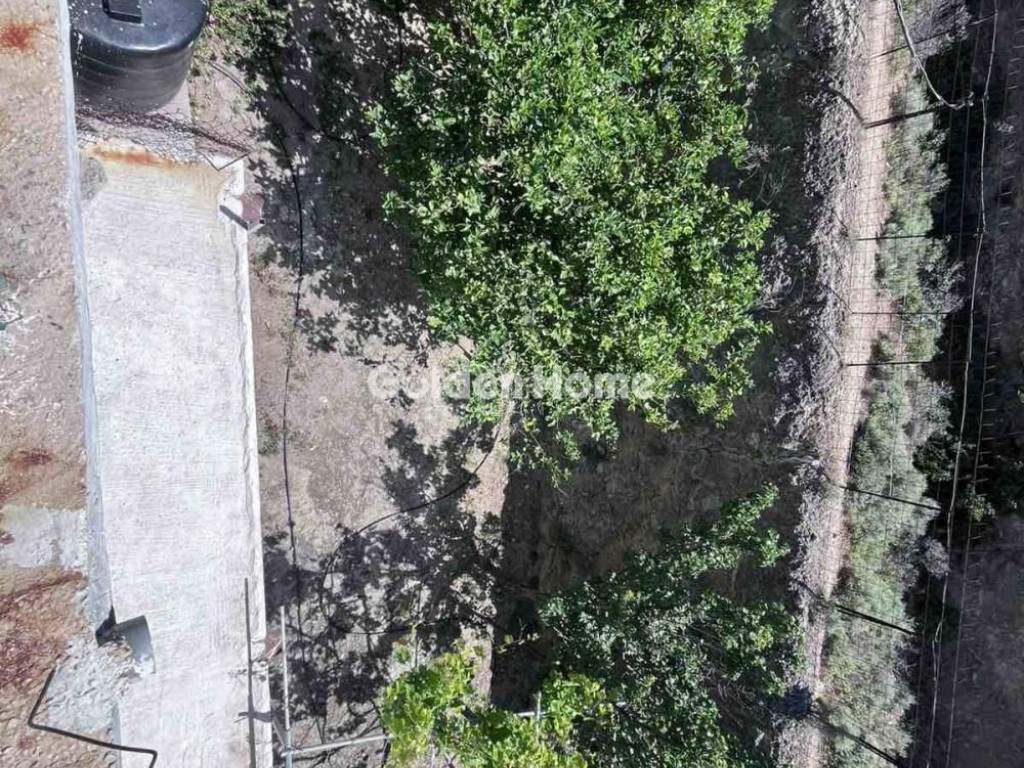 Εξωτερικός Χώρος