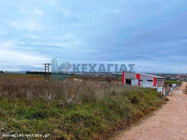 ΕΞΩΤΕΡΙΚΗ ΛΗΨΗ