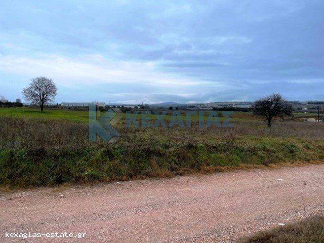 ΕΞΩΤΕΡΙΚΗ ΛΗΨΗ