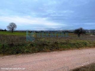 ΕΞΩΤΕΡΙΚΗ ΛΗΨΗ