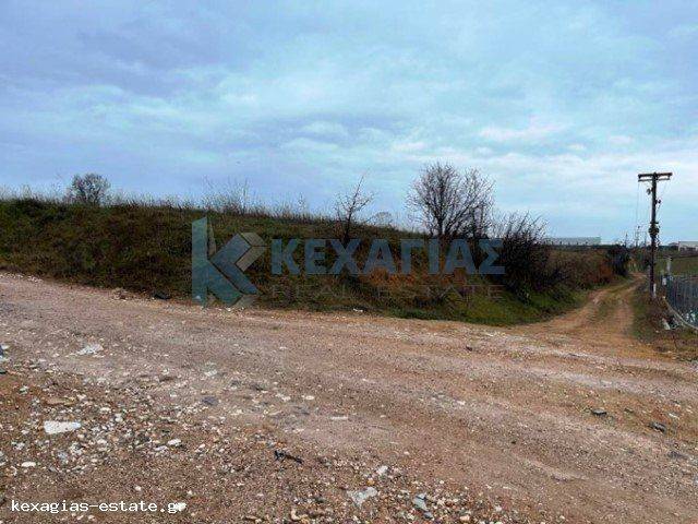 ΕΞΩΤΕΡΙΚΗ ΛΗΨΗ