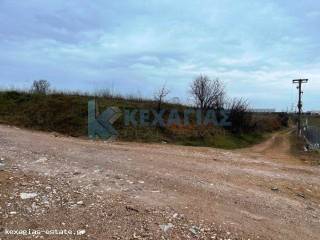 ΕΞΩΤΕΡΙΚΗ ΛΗΨΗ