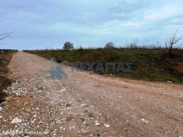 ΕΞΩΤΕΡΙΚΗ ΛΗΨΗ