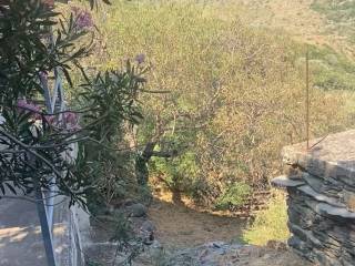 Katebainontas ten plagia