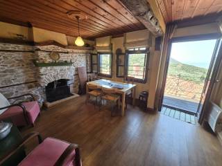 Ύπαρξη ανθρώπου