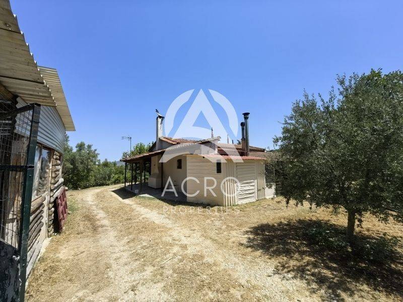 Εξωτερικός χώρος