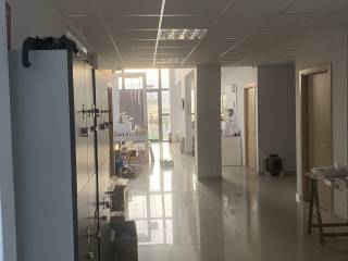 Forumland Real Estate, Γραφειακός χώρος